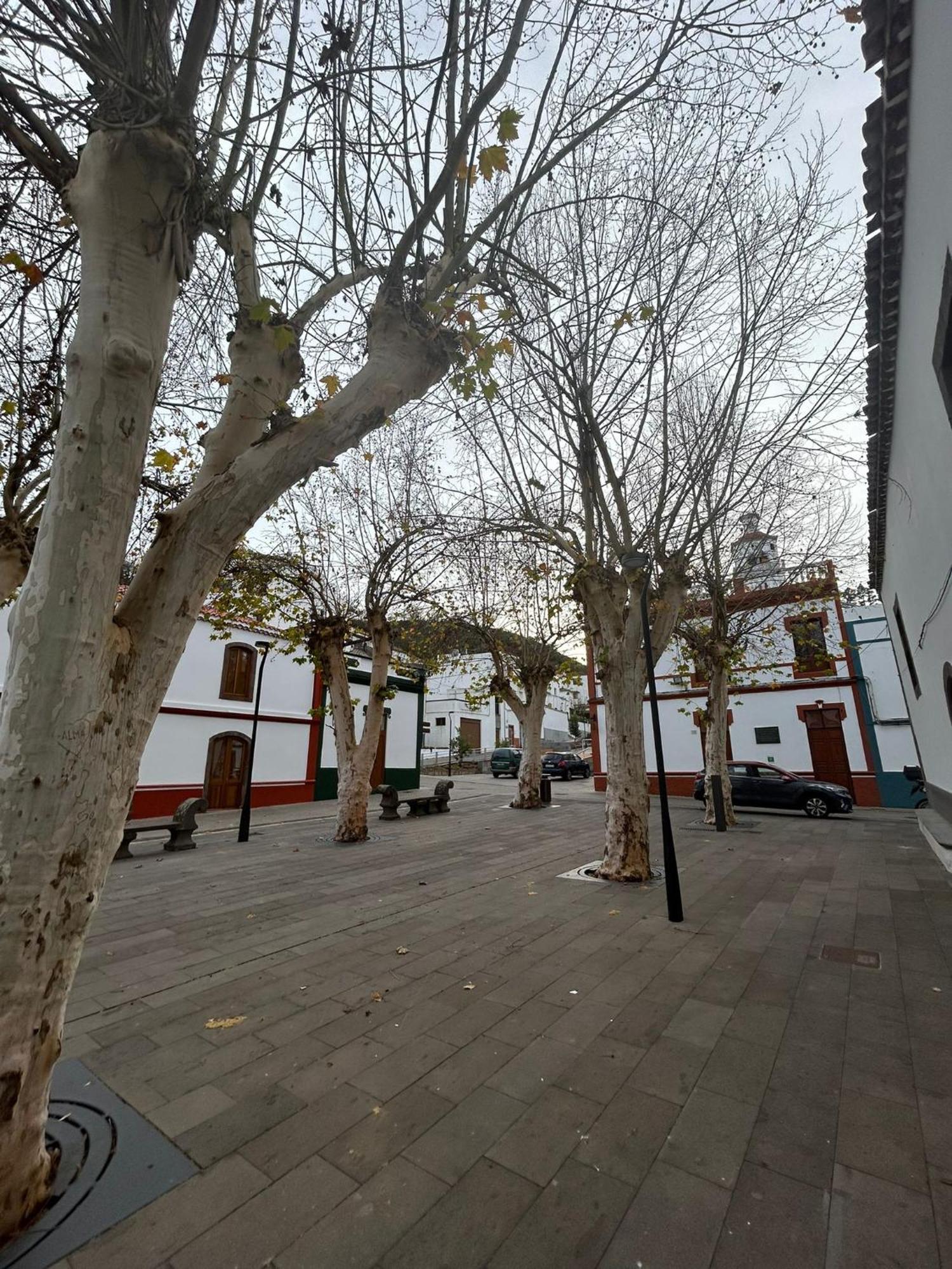 Vivienda Alpa Fontanales Lejlighed Agua de Fontanales Eksteriør billede