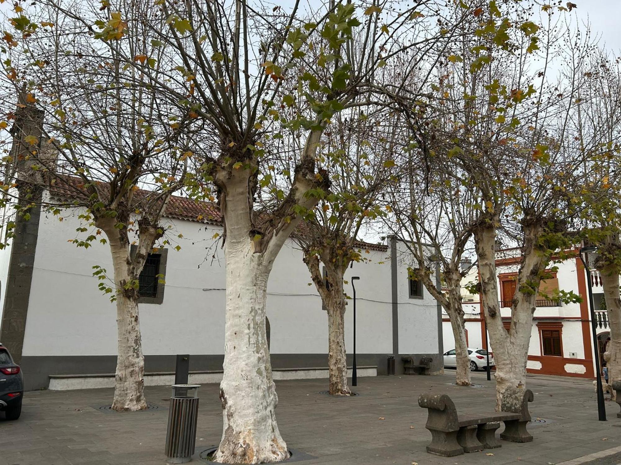 Vivienda Alpa Fontanales Lejlighed Agua de Fontanales Eksteriør billede